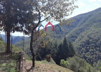 Foto 59 - Rustico sn, Fabbriche di Vergemoli - foto 59