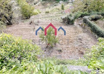 Foto 66 - Casa semi indipendente Bagni di Lucca - foto 66