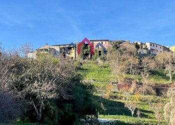 Foto 68 - Casa semi indipendente Bagni di Lucca - foto 68