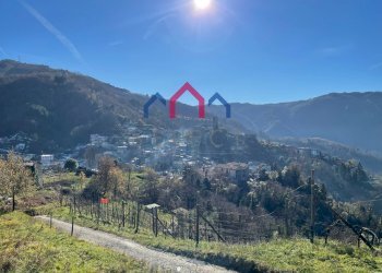 Foto 3 - Casa semi indipendente Borgo a Mozzano - foto 3