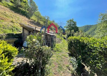 Foto 56 - Independent house Pescaglia - photo 56