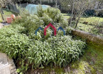 Foto 59 - Quadrilocale Bagni di Lucca - foto 59