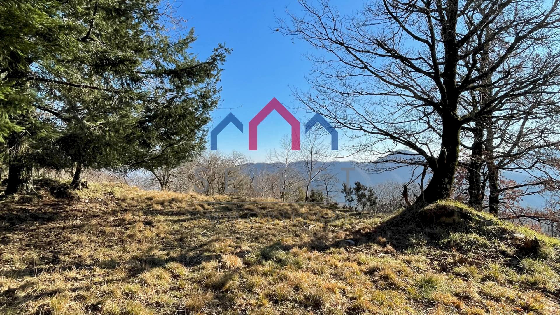 Foto 3 - Rustico Fabbriche di Vergemoli - foto 3