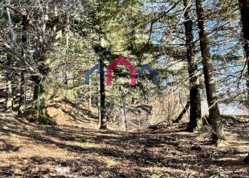 Foto 4 - Rustico Fabbriche di Vergemoli - foto 4