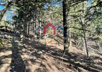 Foto 5 - Rustico Fabbriche di Vergemoli - foto 5