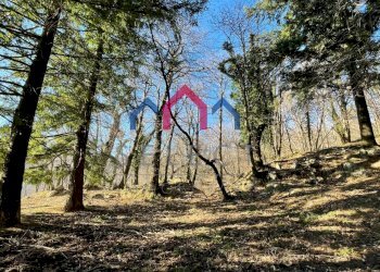 Foto 6 - Rustico Fabbriche di Vergemoli - foto 6