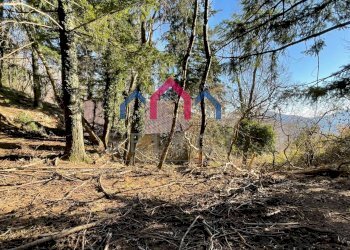 Foto 7 - Rustico Fabbriche di Vergemoli - foto 7