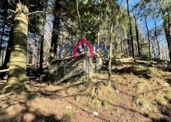 Foto 10 - Rustico Fabbriche di Vergemoli - foto 10