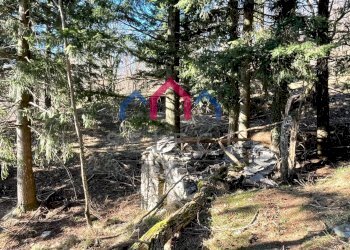 Foto 14 - Rustico Fabbriche di Vergemoli - foto 14