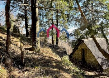 Foto 15 - Rustico Fabbriche di Vergemoli - foto 15