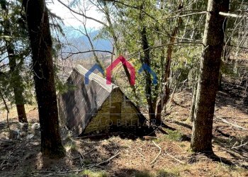 Foto 16 - Rustico Fabbriche di Vergemoli - foto 16