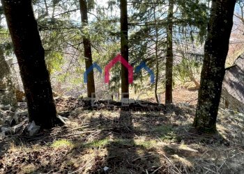 Foto 19 - Rustico Fabbriche di Vergemoli - foto 19