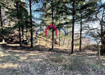 Foto 51 - Rustico Fabbriche di Vergemoli - foto 51