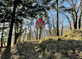 Foto 53 - Rustico Fabbriche di Vergemoli - foto 53