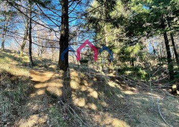 Foto 54 - Rustico Fabbriche di Vergemoli - foto 54