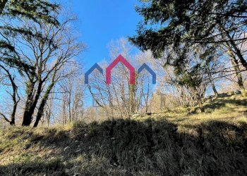 Foto 55 - Rustico Fabbriche di Vergemoli - foto 55