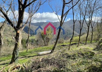 Foto 4 - Rustico sn, Fabbriche di Vergemoli - foto 4