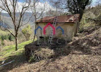 Foto 18 - Rustico sn, Fabbriche di Vergemoli - foto 18