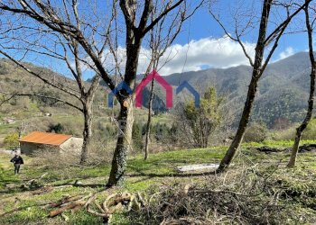 Foto 38 - Rustico sn, Fabbriche di Vergemoli - foto 38