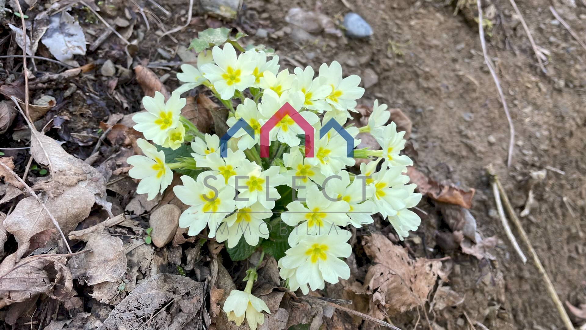 Foto 2 - Rustico sn, Fabbriche di Vergemoli - foto 2