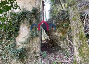 Foto 18 - Rustico sn, Fabbriche di Vergemoli - foto 18