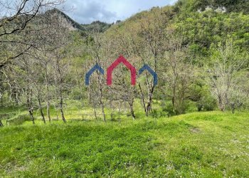 Foto 15 - Agriturismo Gallicano - foto 15