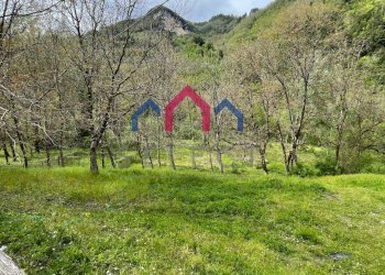 Foto 44 - Agriturismo Gallicano - foto 44