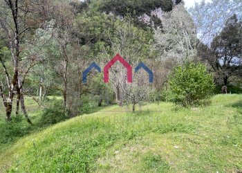 Foto 70 - Agriturismo Gallicano - foto 70