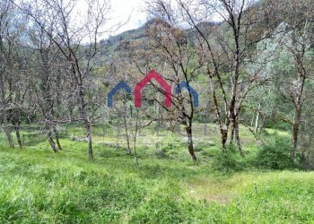 Foto 71 - Agriturismo Gallicano - foto 71