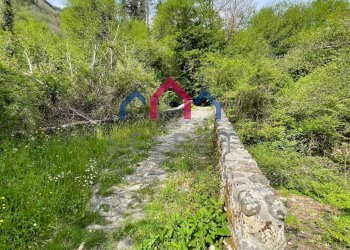 Foto 72 - Agriturismo Gallicano - foto 72