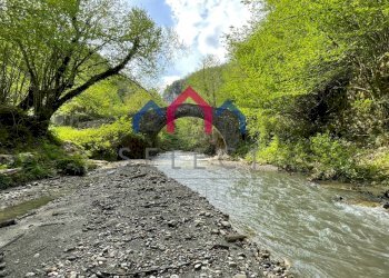 Foto 73 - Agriturismo Gallicano - foto 73