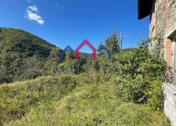 Foto 44 - Rustico Minucciano - foto 44