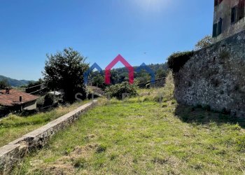 Foto 83 - Villa Pescaglia - foto 83