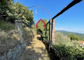 Foto 104 - Villa Pescaglia - foto 104