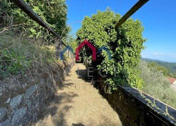 Foto 105 - Villa Pescaglia - foto 105