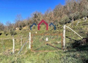 Foto 42 - Independent house Fosciandora - photo 42