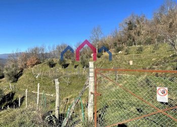 Foto 43 - Independent house Fosciandora - photo 43