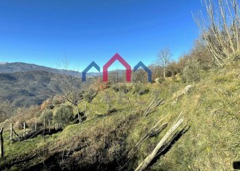 Foto 46 - Independent house Fosciandora - photo 46