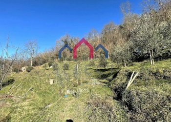 Foto 47 - Independent house Fosciandora - photo 47