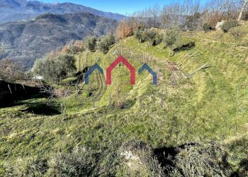 Foto 49 - Independent house Fosciandora - photo 49