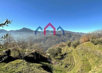 Foto 51 - Independent house Fosciandora - photo 51