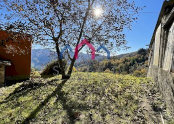 Foto 12 - Rustico sn, Borgo a Mozzano - foto 12