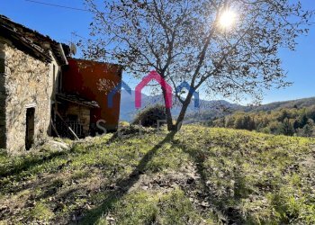 Foto 14 - Rustico sn, Borgo a Mozzano - foto 14