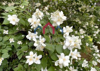 Foto 37 - Villa Bagni di Lucca - foto 37