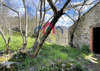 Foto 29 - Rustico sn, Pescaglia - foto 29