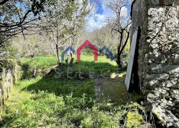 Foto 33 - Rustico sn, Pescaglia - foto 33