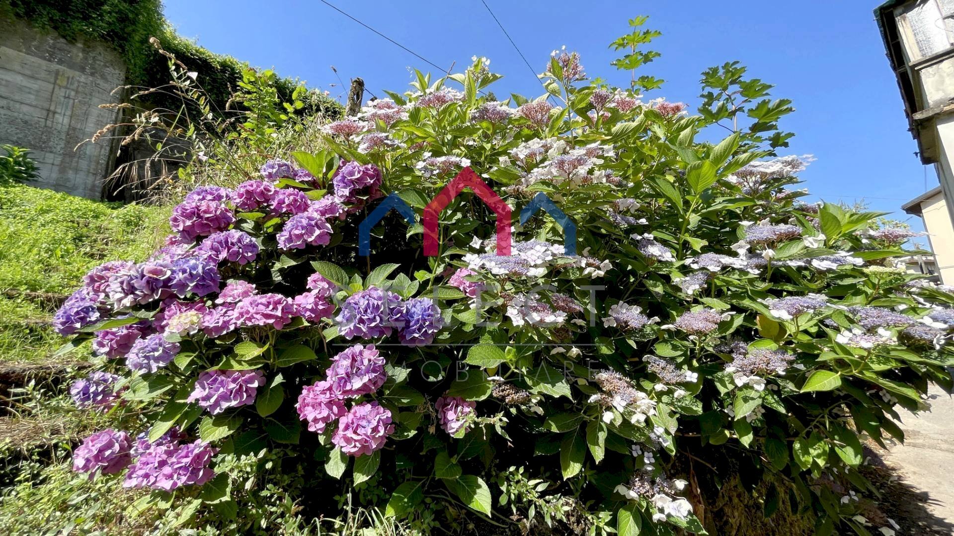 Foto 2 - Semi-detached house sn, Borgo a Mozzano - photo 2