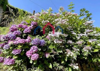 Foto 2 - Casa semi indipendente sn, Borgo a Mozzano - foto 2