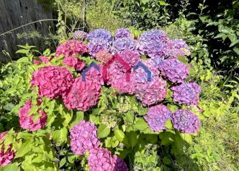 Foto 29 - Casa semi indipendente sn, Borgo a Mozzano - foto 29