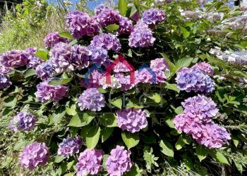 Foto 31 - Casa semi indipendente sn, Borgo a Mozzano - foto 31